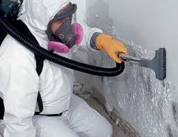 Mold Odor Removal Services